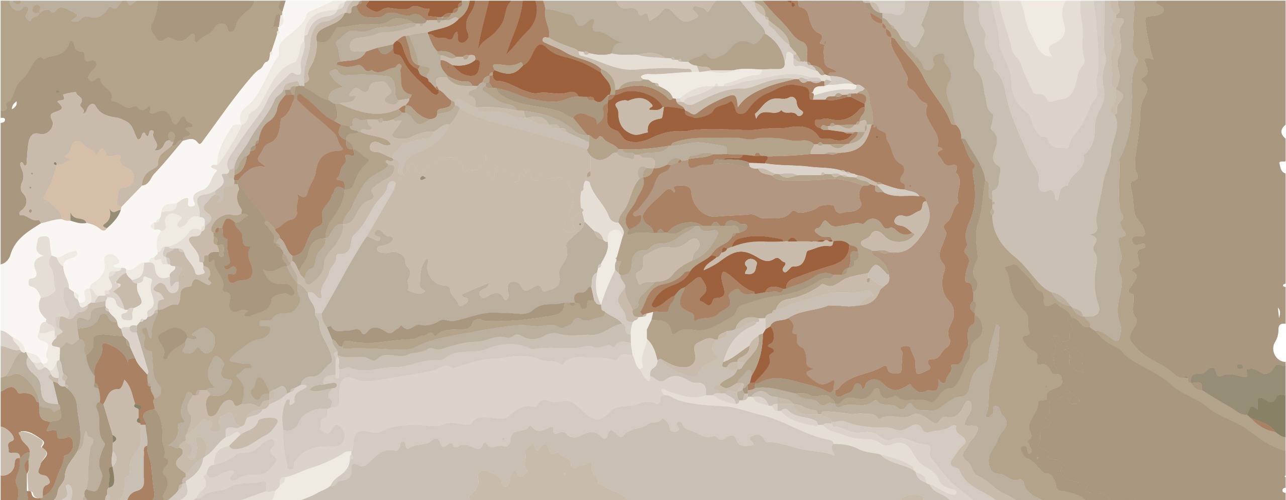 Descripción de la imagen